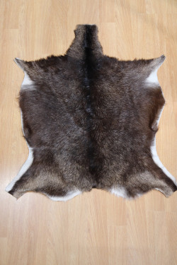 PEAU DE DÉCORATION PEAU DE CHÈVRE. 5