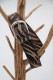 Ceinture en cuir femme V5454A6725